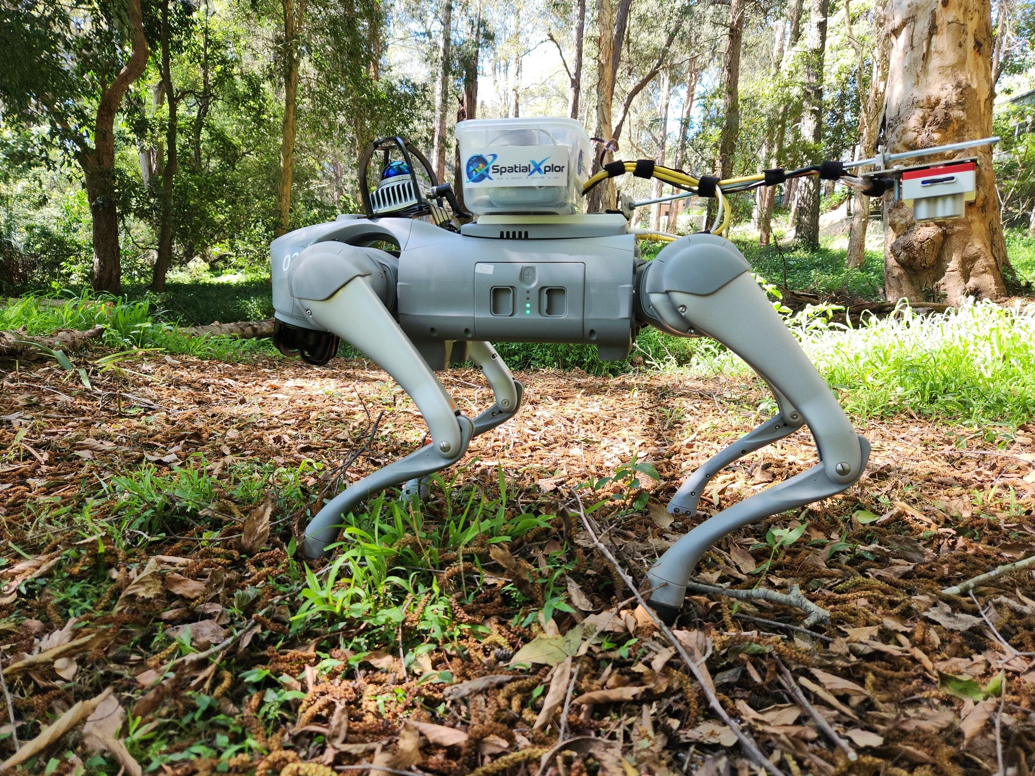 SpatialXplor autonomous field robot equipped with sensing hardware in a real outdoor environment